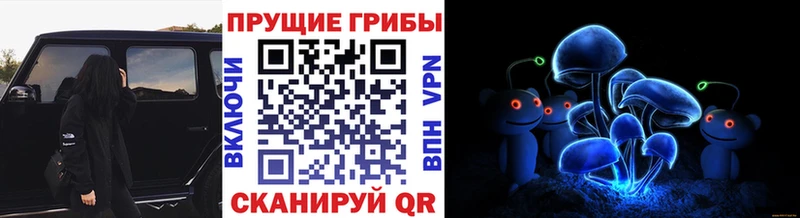 Псилоцибиновые грибы Psilocybe  мега ссылки  Слюдянка 